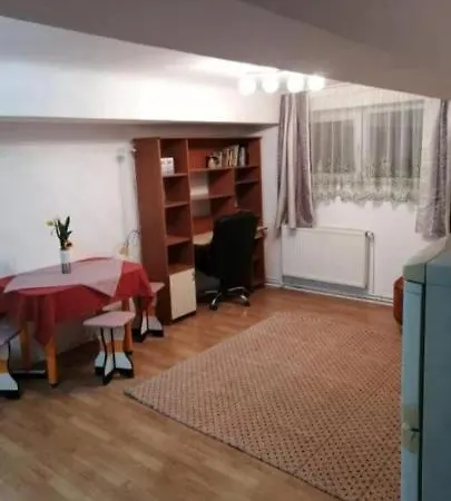 Lägenhet Central Apartment Cluj-Napoca