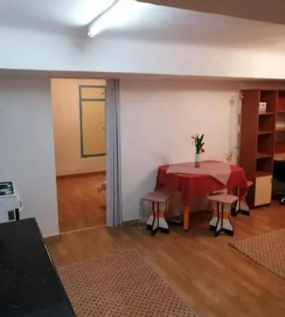 Central Apartment