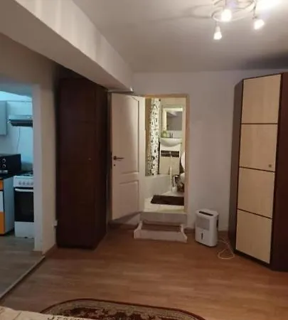 Central Apartment Kluž